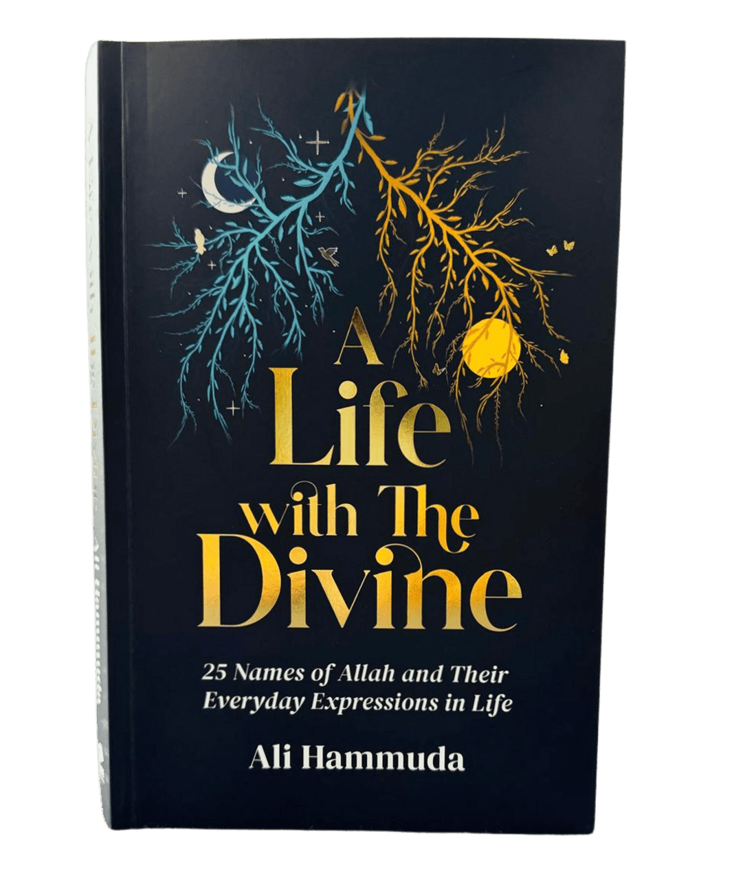 A Life with the Divine by Ali Hammdua - Darussalam