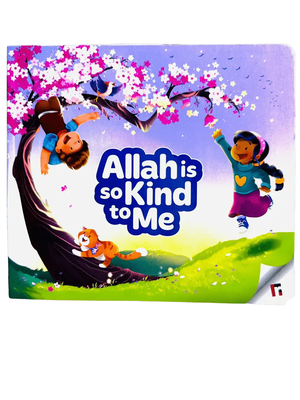 Allah is So Kind to Me - Darussalam