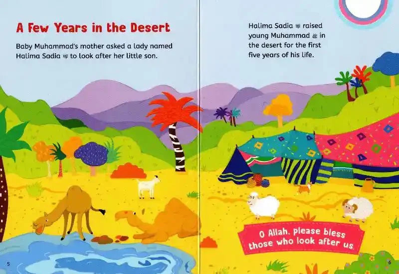 Baby's First Prophet Muhammad ﷺ Stories - Darussalam