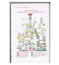 Golden Stories of Muslim Women - Darussalam