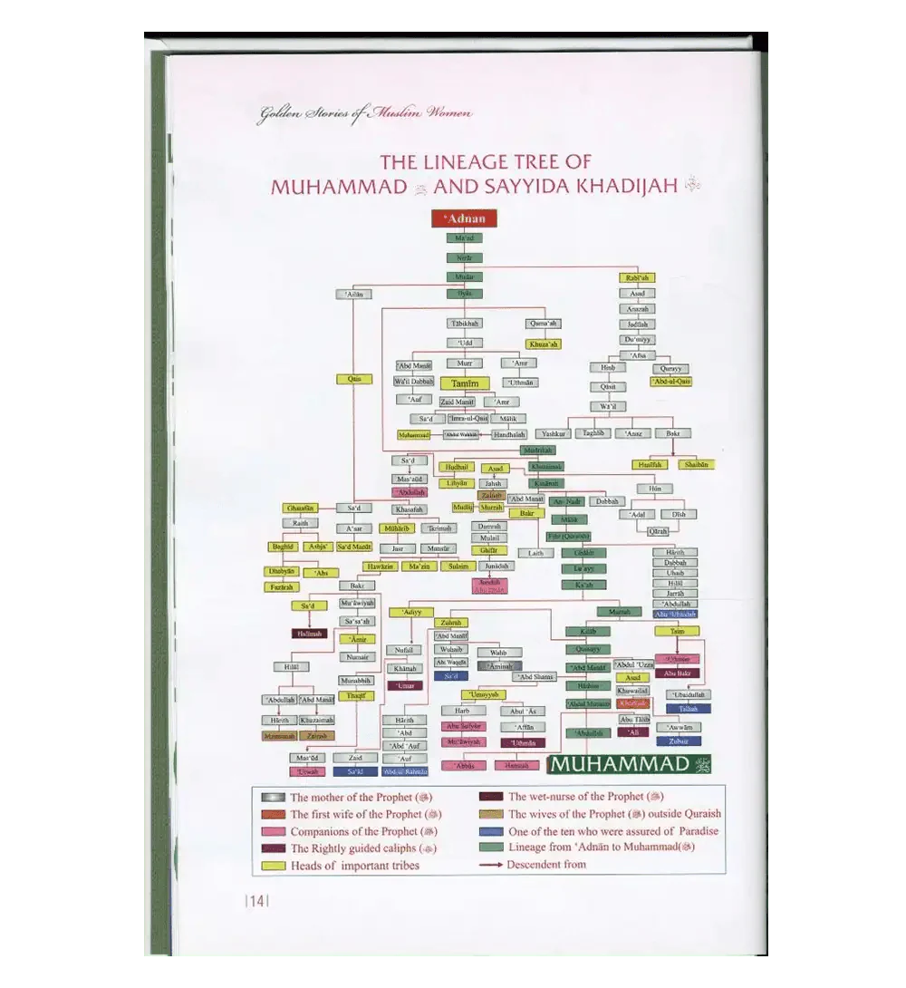 Golden Stories of Muslim Women - Darussalam