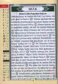 Juz Tabarak : with Meanings Translation and Transliteration in English - Darussalam
