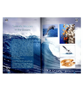 Scientific Miracles in the Oceans and Animals - Darussalam