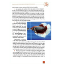Scientific Miracles in the Oceans and Animals - Darussalam