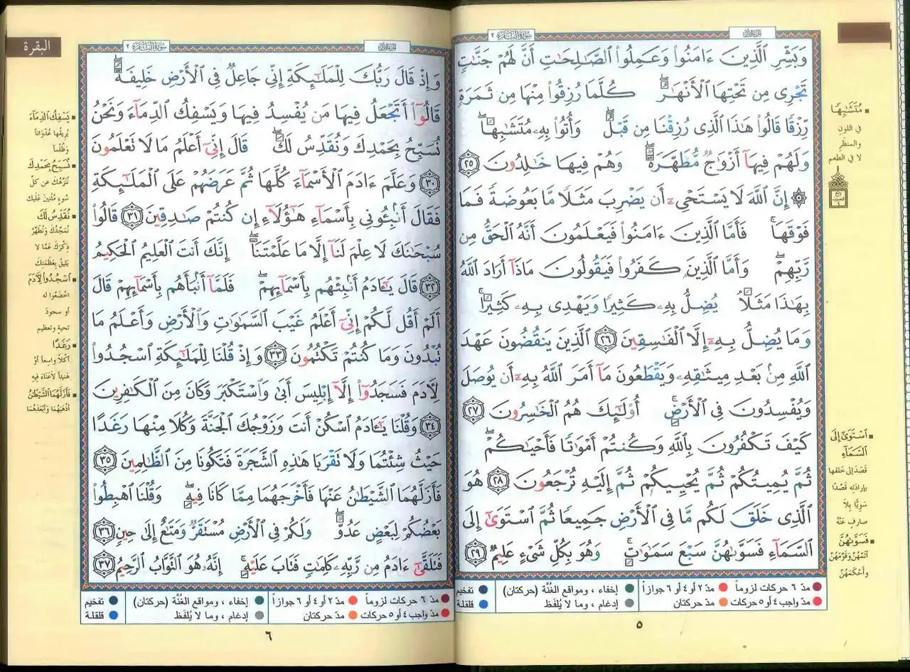 Tajweed Quran - Color coded Arabic only Large 17x24cm DM Delux - Darussalam