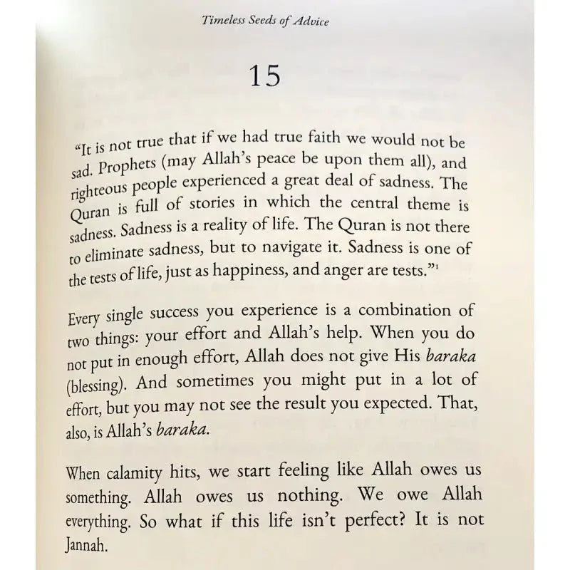 Timeless Seeds of Advice - Darussalam